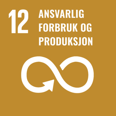 FNs bærekraftsmål nr.12 - Ansvarlig forbruk og produksjon